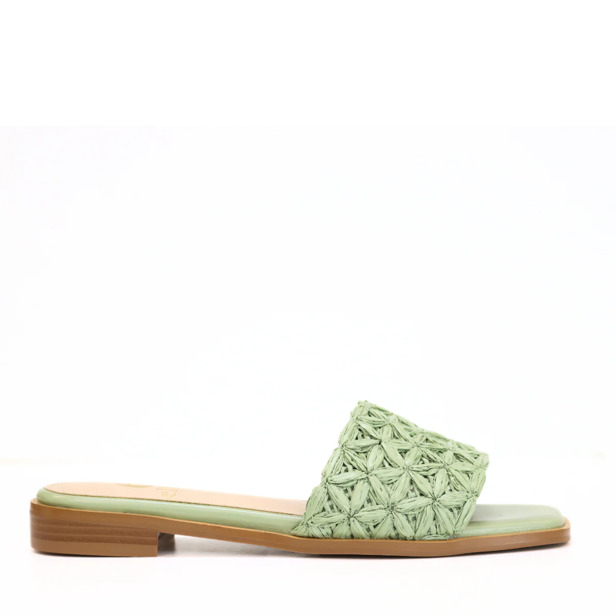 DOROTHY - Image 4